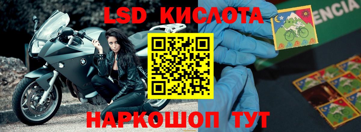 Кудрово  Лсд 25 экстази кислота  Лсд 25 экстази ecstasy  Вход с VPN 