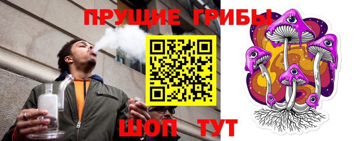 Псилоцибиновые грибы Cubensis  Вход с VPN  купить   Кудрово 