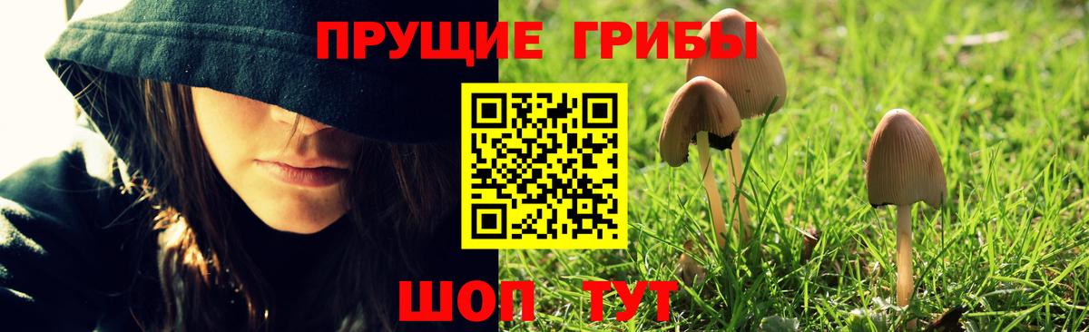 Галлюциногенные грибы Magic Shrooms Кудрово