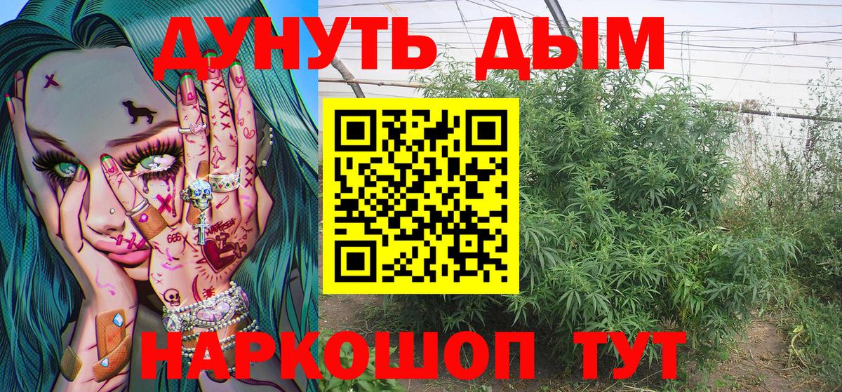 Бошки марихуана Ganja  Вход с VPN  Кудрово  Шишки марихуана Amnesia 