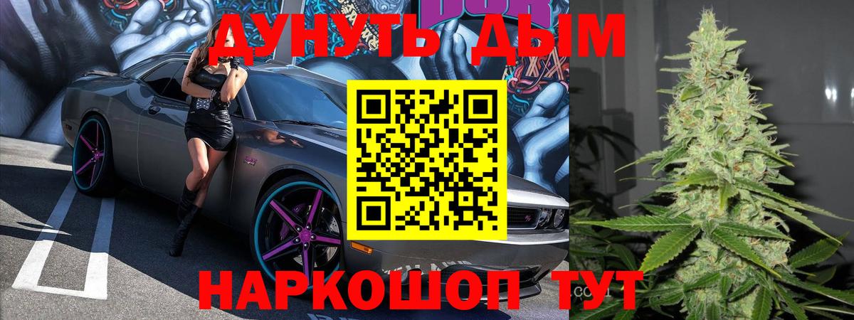Каннабис SATIVA & INDICA Кудрово